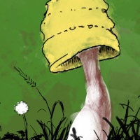 20251113_Pilz