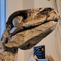 20240618_Raptor